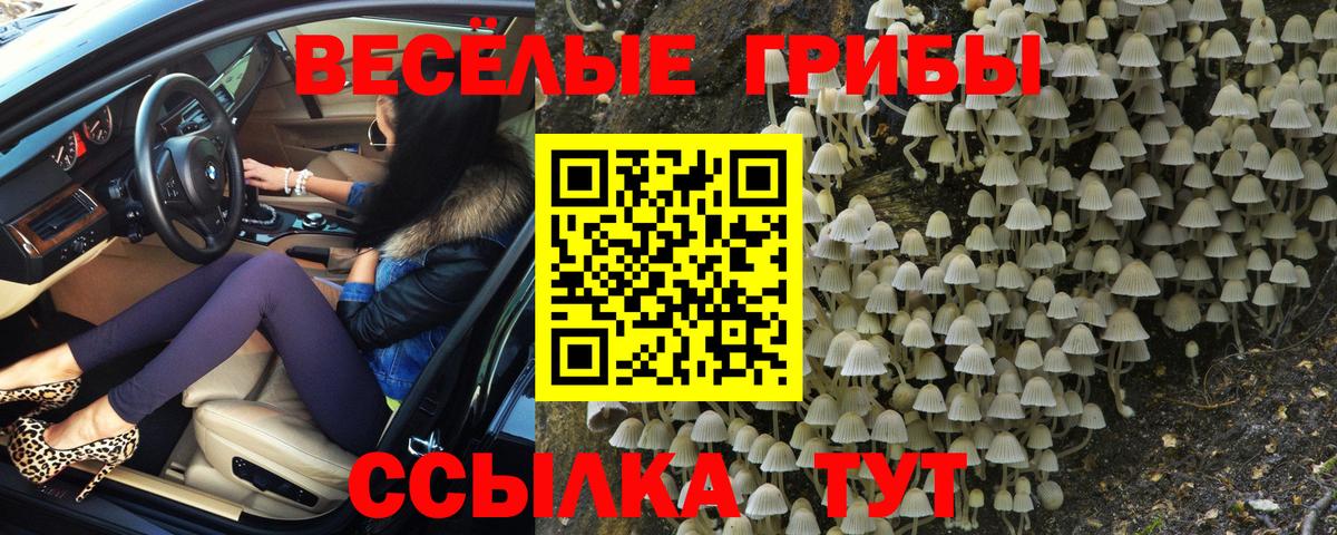 Шали  Псилоцибиновые грибы мухоморы  Вход с VPN 