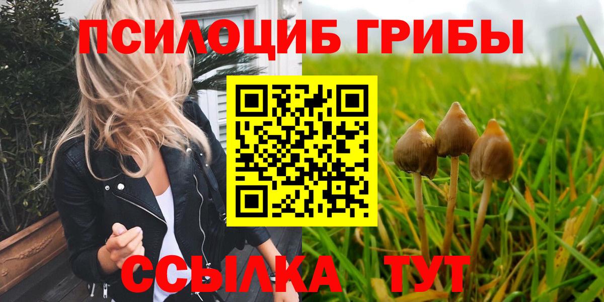 Галлюциногенные грибы мицелий Шали